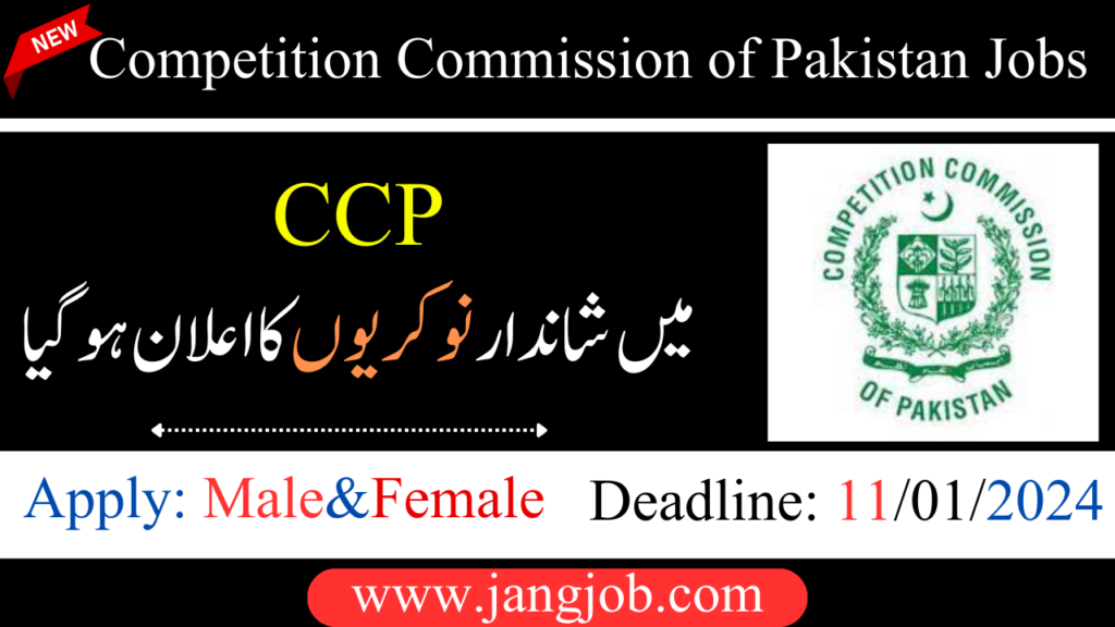 New Competition Commission of Pakistan Jobs 2024 | CCP Jobs 2024 | Apply Online