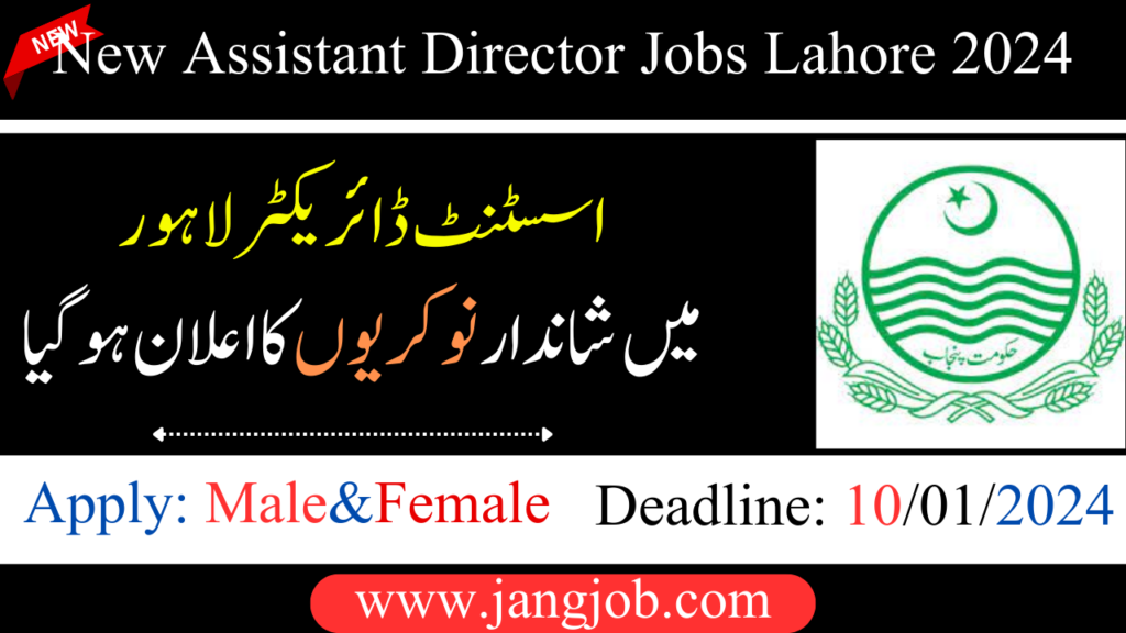 New Assistant Director Jobs Lahore 2024 | Job Openings for Assistant Directors in Lahore jobustad