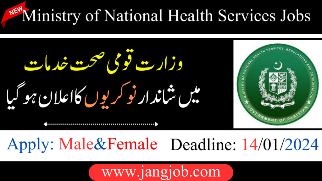 New Jobs in Ministry of National Health Services 2024 | NIH Jobs 2024 Online Apply